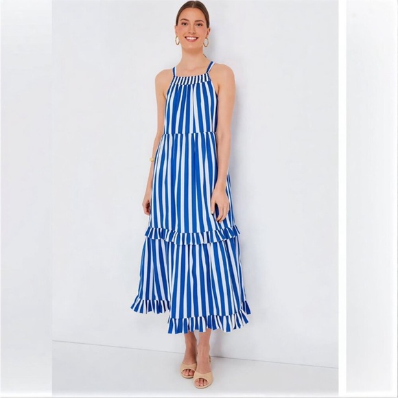 Tuckernuck Dresses & Skirts - Tuckernuck Blue and White Striped Maxi Dress
